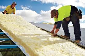 Best Eco-Friendly or Green Insulation Solutions  in Braddock, VA