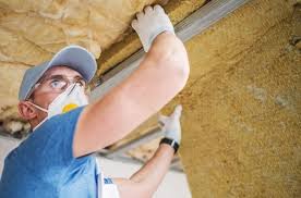 Best Basement Insulation  in Braddock, VA